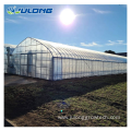 Single Span NFT Hydroponics Vertical Farm Greenhouse